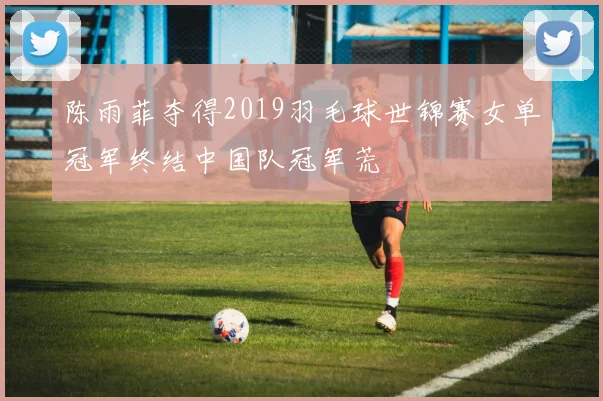 陈雨菲夺得2019羽毛球世锦赛女单冠军终结中国队冠军荒