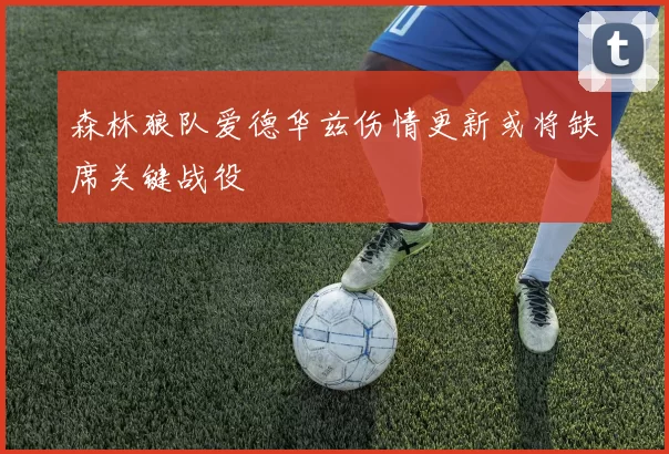 森林狼队爱德华兹伤情更新或将缺席关键战役