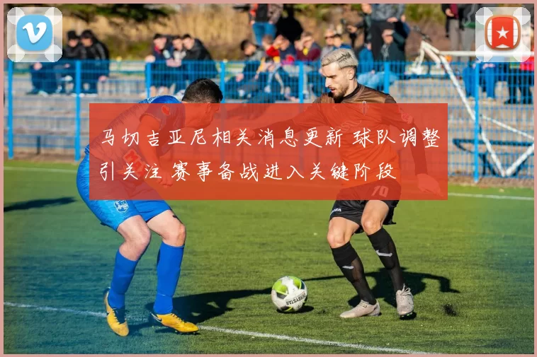 马切吉亚尼相关消息更新 球队调整引关注 赛事备战进入关键阶段