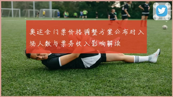 奥运会门票价格调整方案公布对入场人数与票务收入影响解读