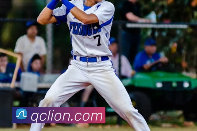 App Interface Preview