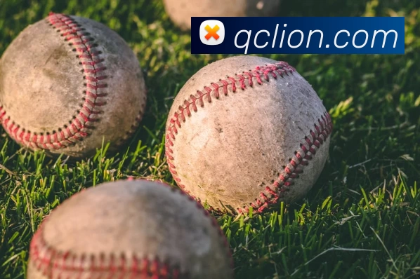 米兰app站官方官网 - 米兰(中国)APP 封面图